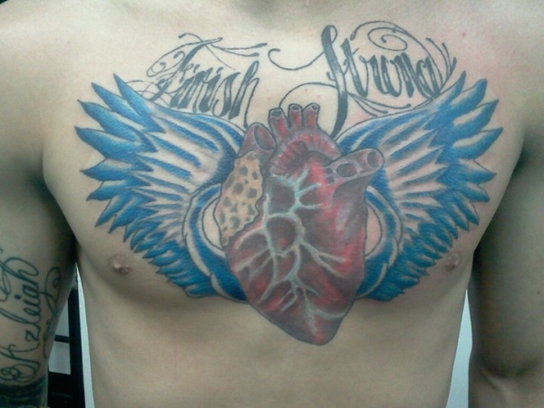 Coeur anatomique avec des ailes