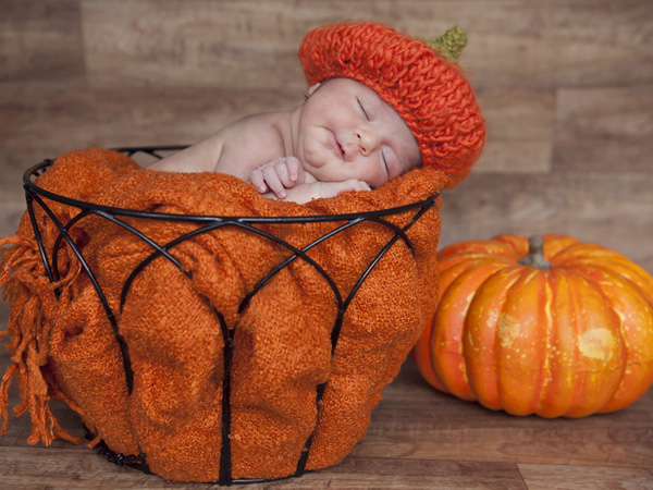 Gâterie d'Halloween