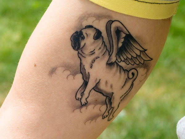 Angel Pug Tattoo