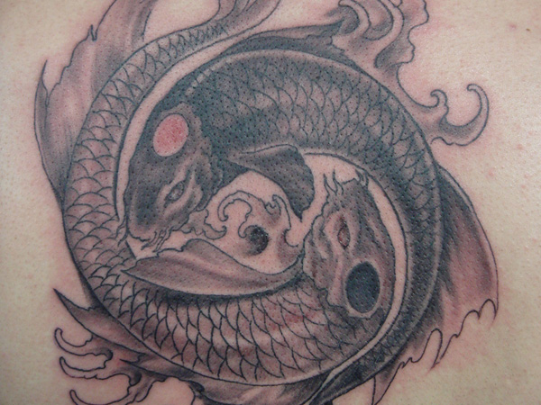 Poisson Koi comme Yin Yang