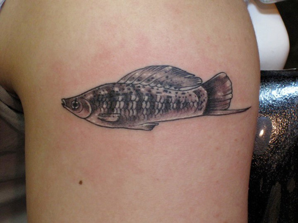 Tatouage Doux Poisson De Tetra