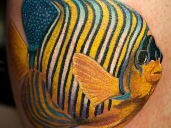 Tatouage de poisson tropical coloré