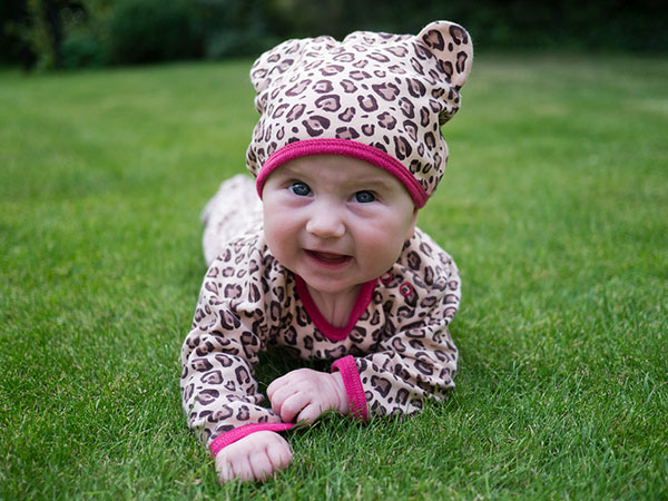 Leopard Cub