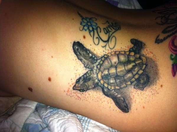 Tortue brune sur le dos