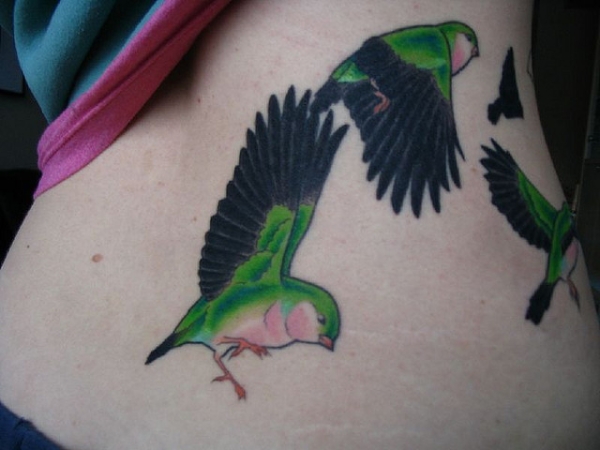 Tatouage Oiseau Couleur Dos Foncé