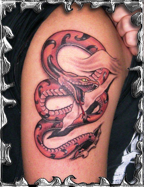 Tatouage de serpent déchiré