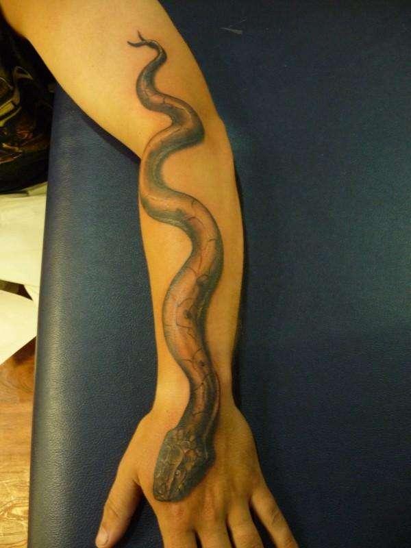 Tatouage De Serpent Roulant