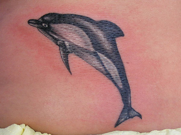 Νέο τατουάζ με δελφίνια