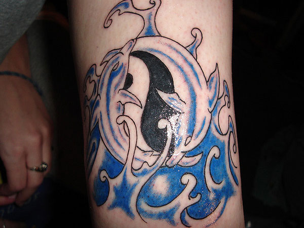 Shelly's Dolphin Tattoo