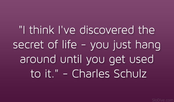 Citation de Charles Schulz