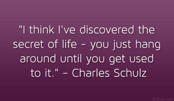 Citation de Charles Schulz