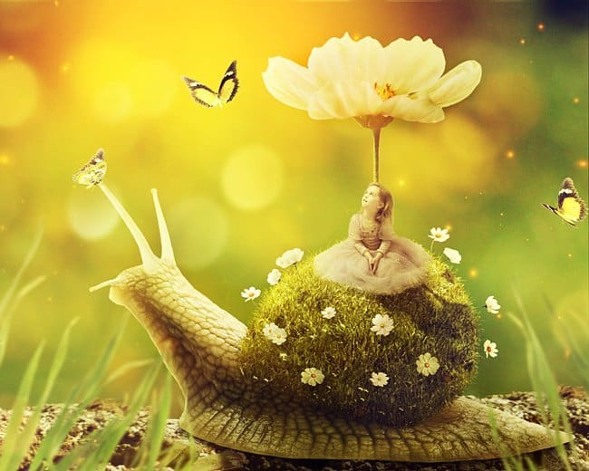 Créez un escargot surréaliste avec une coquille herbeuse dans Photoshop Tutoriels de composition Photoshop sur le Web