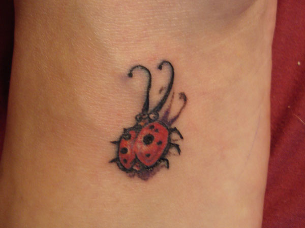 Tatouage de grosse coccinelle