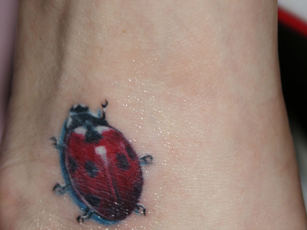 Tatouage de coccinelle réaliste