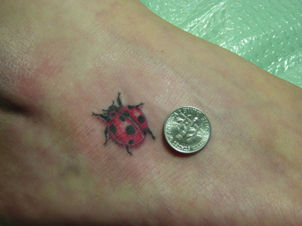 Tatouage mignon de coccinelle