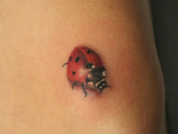 Tatouage de coccinelle classique