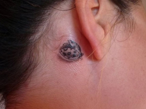 Tattoo Coccinelle grise