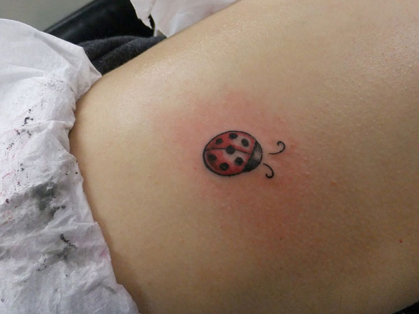 Tatouage de coccinelle sur l'estomac