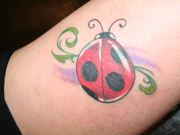 Grand tatouage de coccinelle