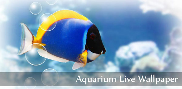 Aquarium Fond D'écran Animé