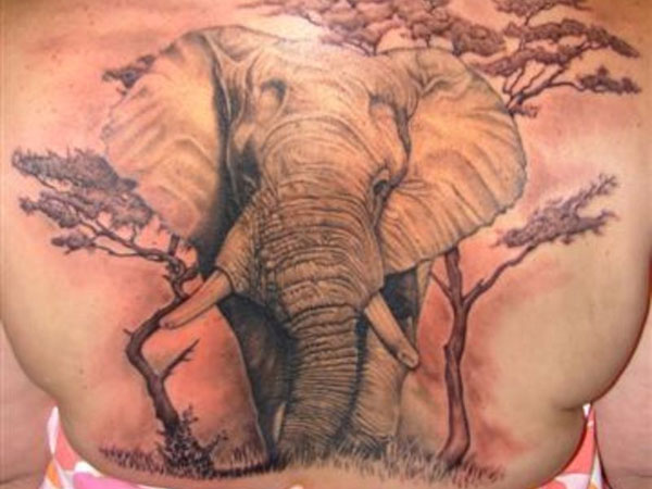 Tatouage d'éléphant de savane