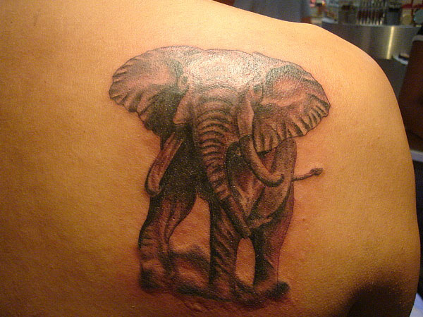 Détails du tatouage d'éléphant