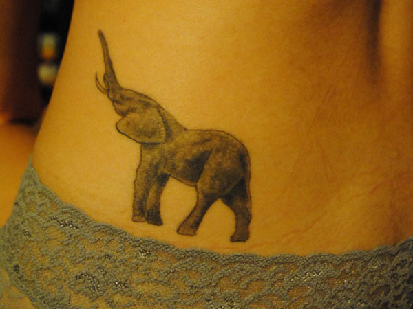 Tatouage Éléphant Privé