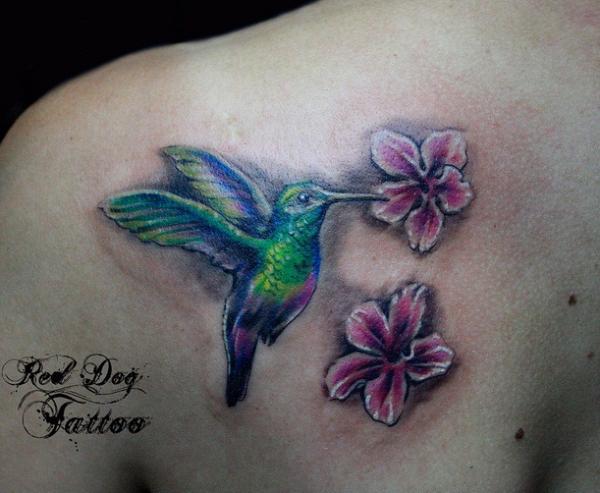 Colibri au jasmin