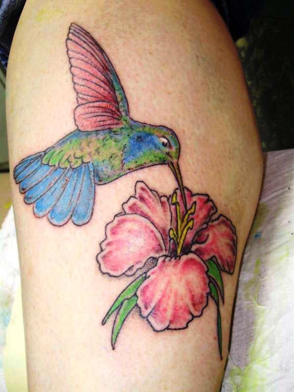 Colibri avec fleur