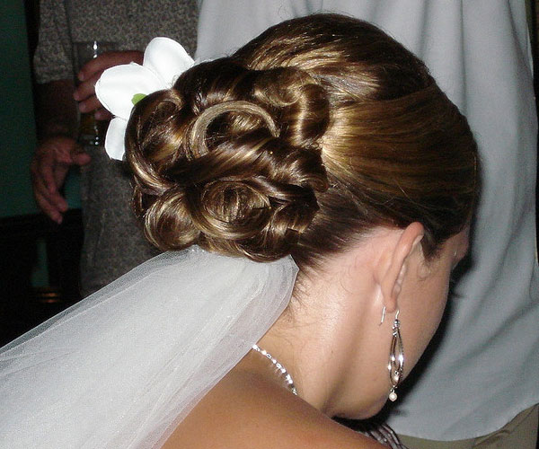 Knotty Chignon