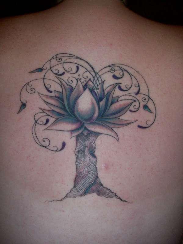 Violet Lotus Tree