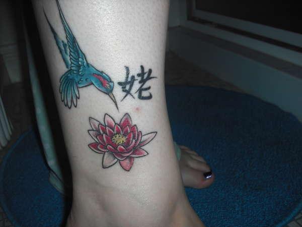 Lotus And Humming Bird