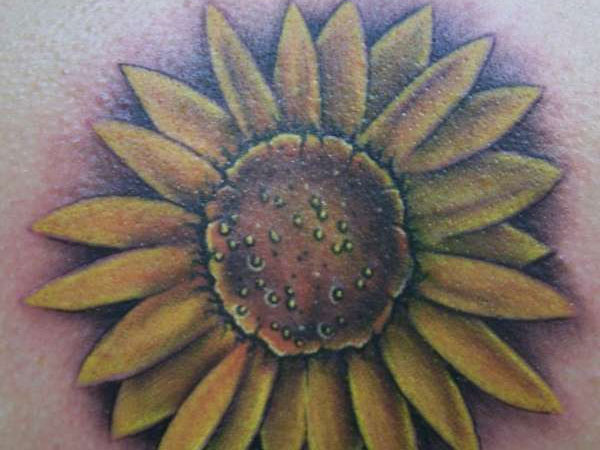 Tournesol Beau Design