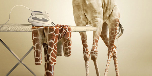Déshabiller une girafe dans Photoshop