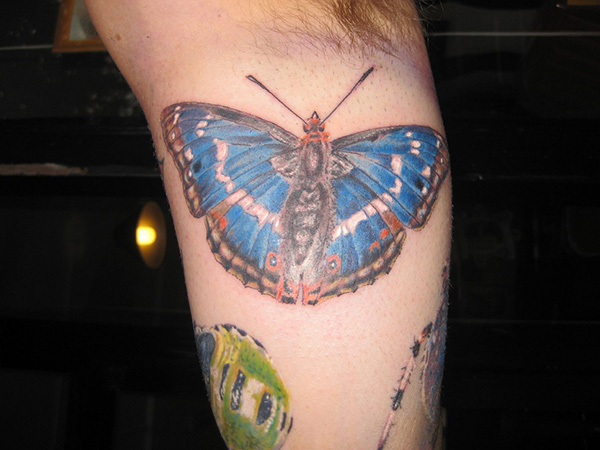 Inside Arm Butterfly Tattoo