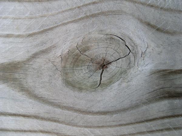 Wood Eye