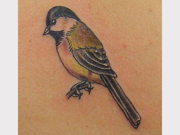 Tatouage Oiseau Assis