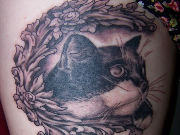 Mon tatouage de chat