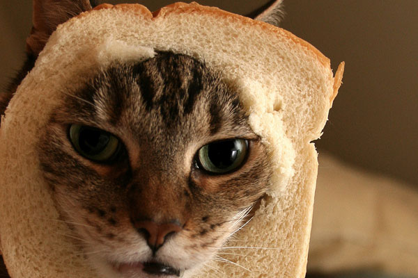 Bonnet Of Bread