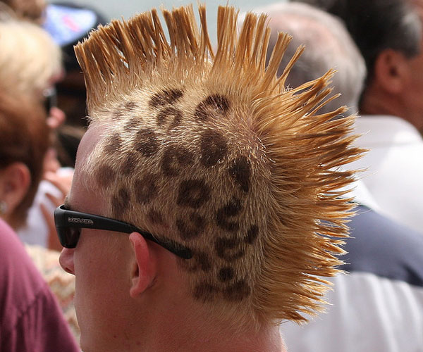 Leopard Mohawk