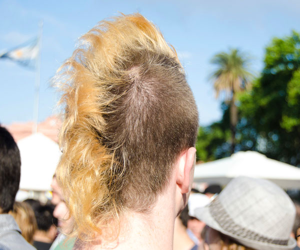 Golden Mohawk