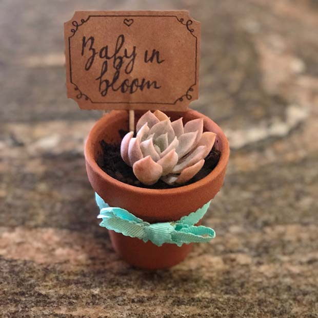 Succulent Favor Idea - Baby in Bloom