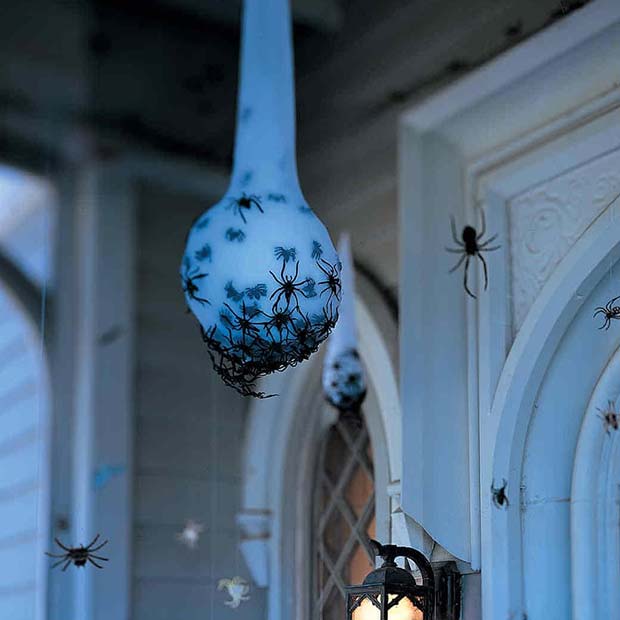 Scary Hanging Spiders Nest