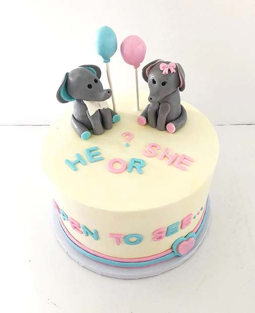 Cute Open to See Gender Reveal Cake