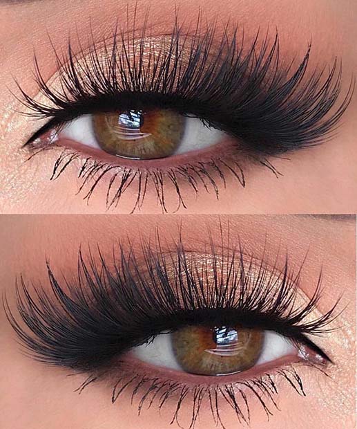 Glamorous Lashes