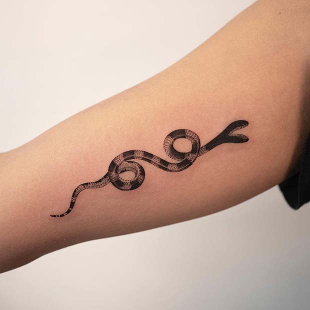 Conception unique de tatouage de serpent à deux têtes