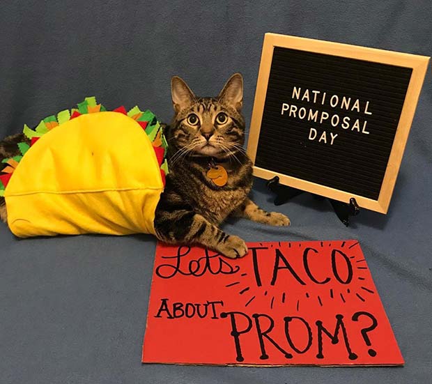 Let's Taco About Prom