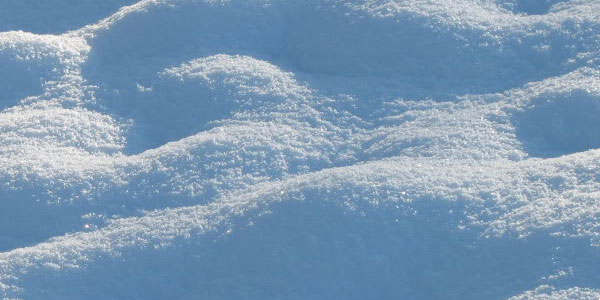 Champ avec de la neige