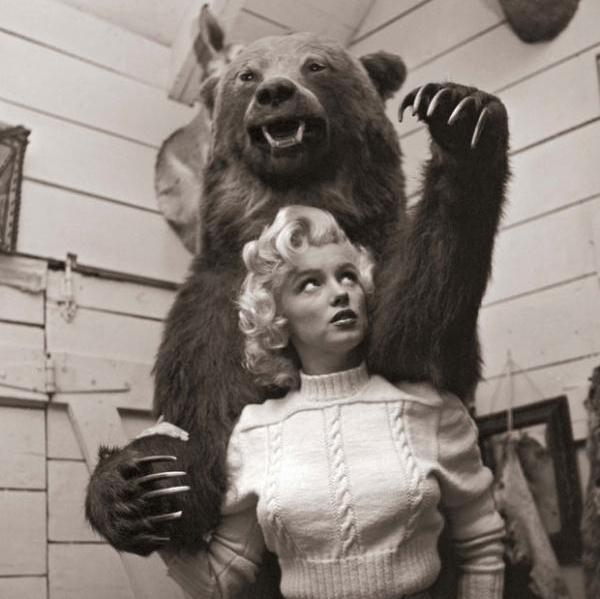 Monroe et ours