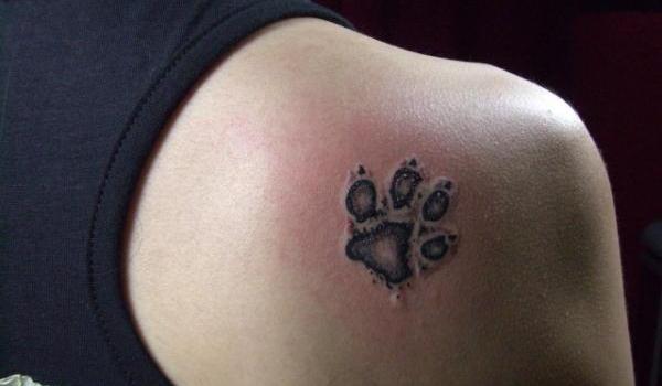 Tatouage De Pattes De Chien